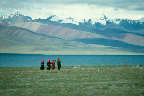 Yam Trok Tso (Nam CO Lake) - 4627m ü.d.M.; im Hintergrund die Himalaja - Über 8000m
