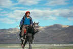 Tibetanischer Reiter